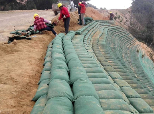 生态袋